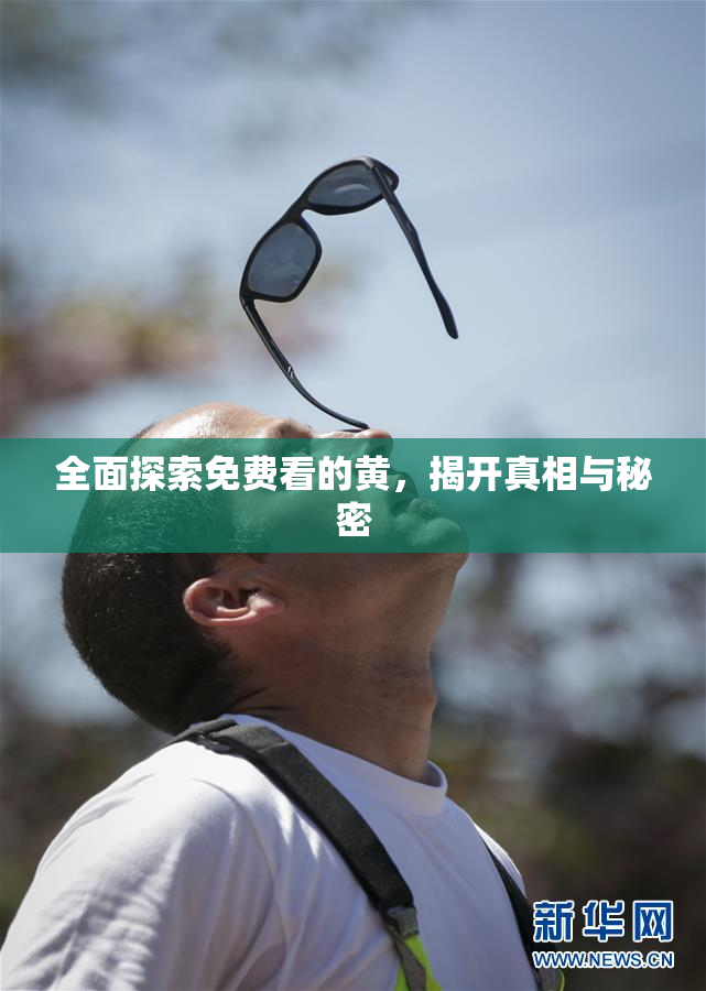 全面探索免费看的黄，揭开真相与秘密