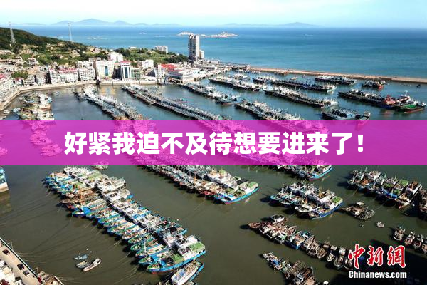好紧我迫不及待想要进来了！