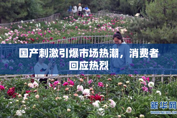 国产刺激引爆市场热潮，消费者回应热烈