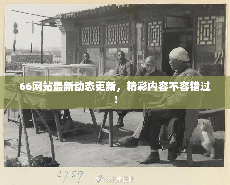 66网站最新动态更新，精彩内容不容错过！