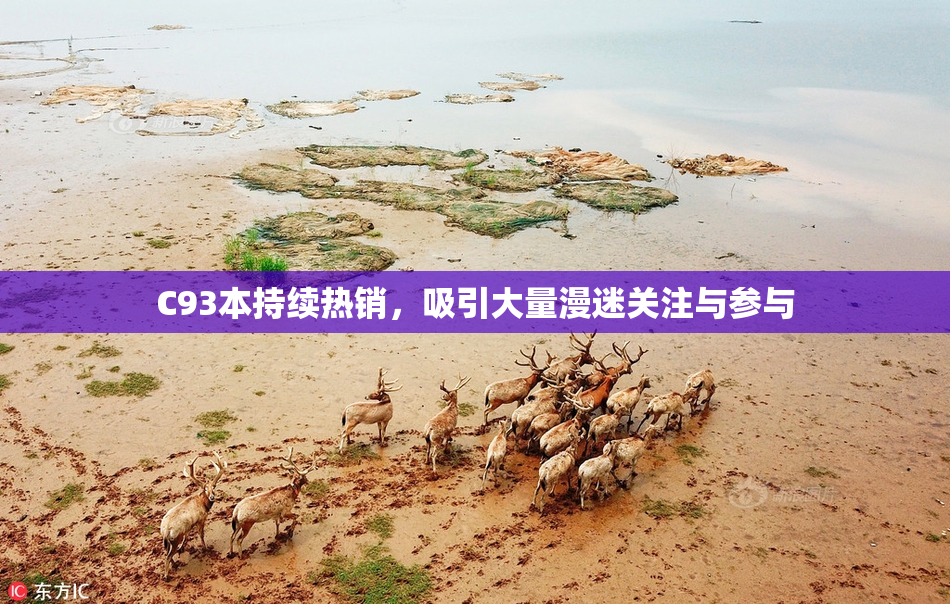 C93本持续热销，吸引大量漫迷关注与参与