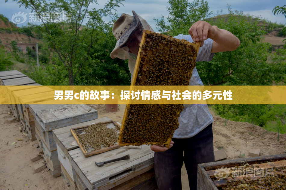 男男c的故事：探讨情感与社会的多元性