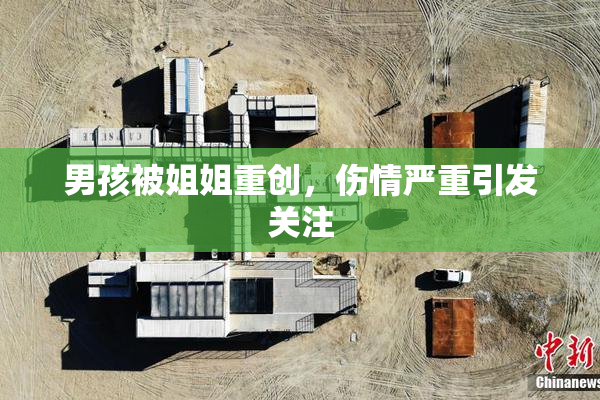 男孩被姐姐重创，伤情严重引发关注