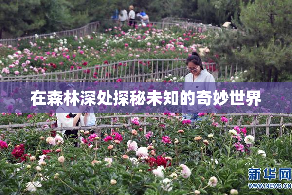 在森林深处探秘未知的奇妙世界