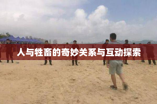 人与牲畜的奇妙关系与互动探索