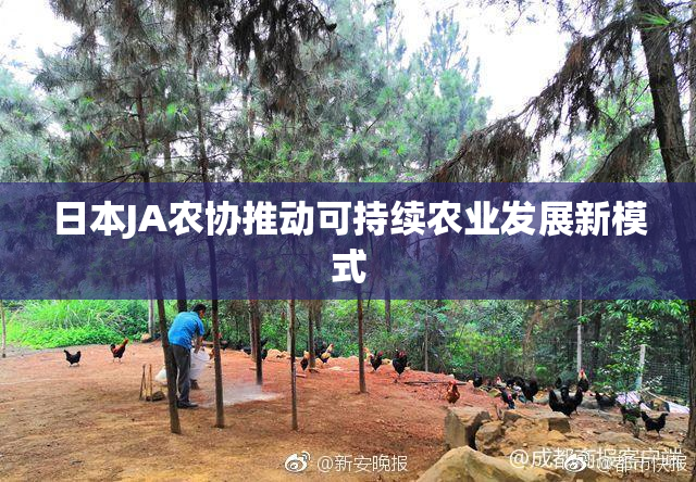 日本JA农协推动可持续农业发展新模式