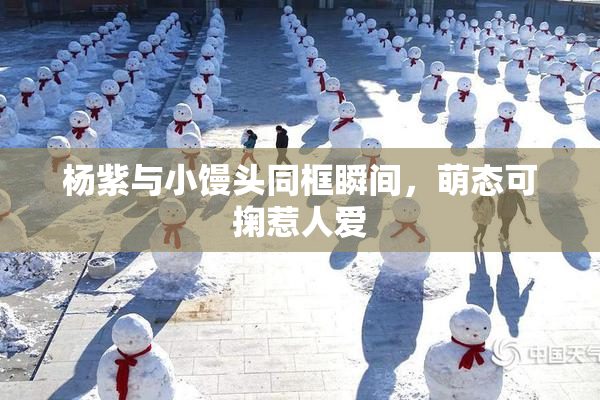 杨紫与小馒头同框瞬间，萌态可掬惹人爱