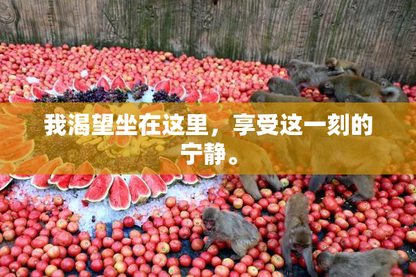 我渴望坐在这里，享受这一刻的宁静。