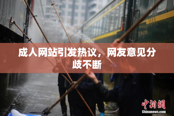 成人网站引发热议，网友意见分歧不断