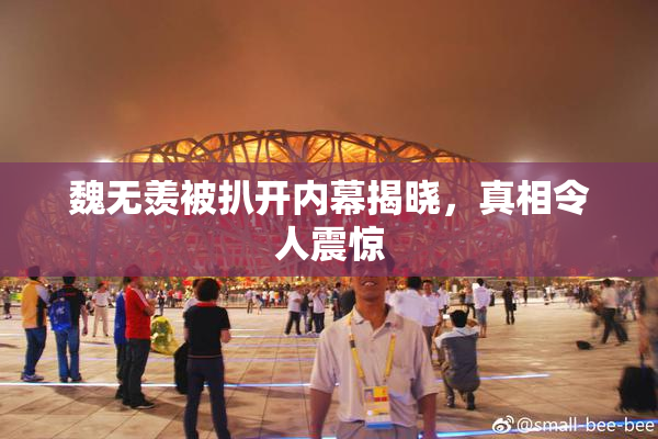 魏无羡被扒开内幕揭晓，真相令人震惊