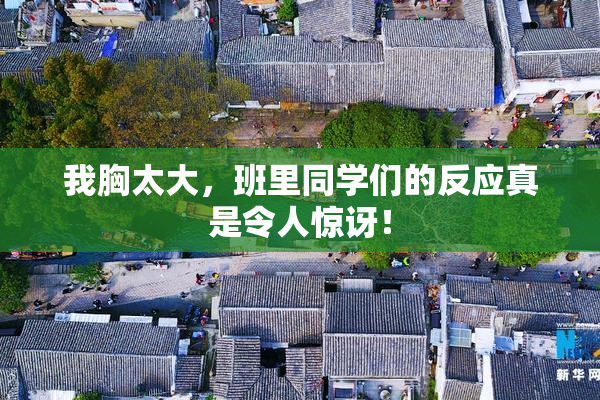 我胸太大，班里同学们的反应真是令人惊讶！