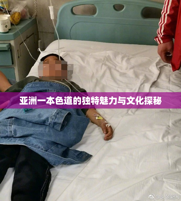 亚洲一本色道的独特魅力与文化探秘
