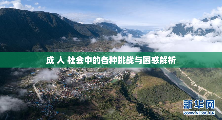 成 人 社会中的各种挑战与困惑解析