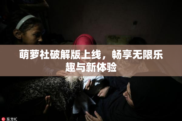 萌萝社破解版上线，畅享无限乐趣与新体验
