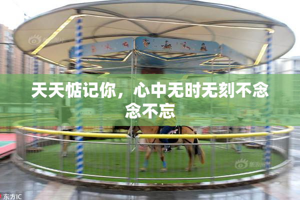 天天惦记你，心中无时无刻不念念不忘