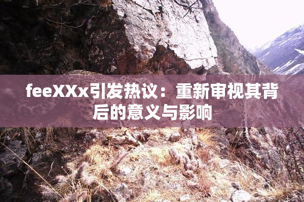 feeXXx引发热议：重新审视其背后的意义与影响