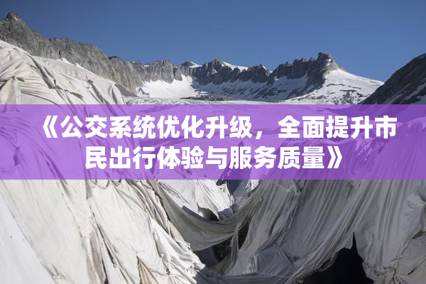 《公交系统优化升级，全面提升市民出行体验与服务质量》