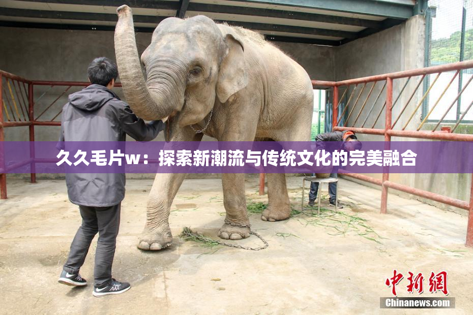 久久毛片w：探索新潮流与传统文化的完美融合