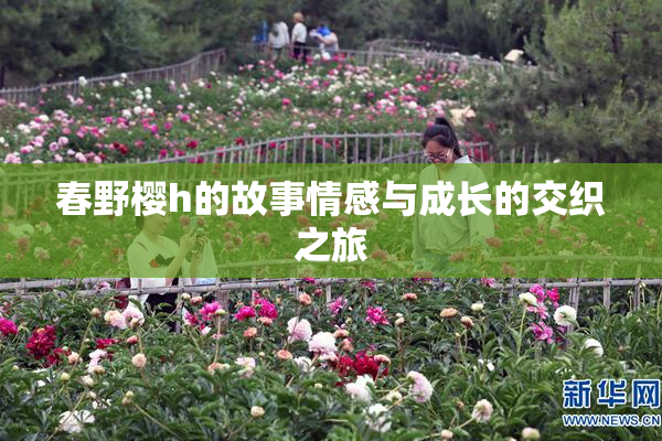 春野樱h的故事情感与成长的交织之旅