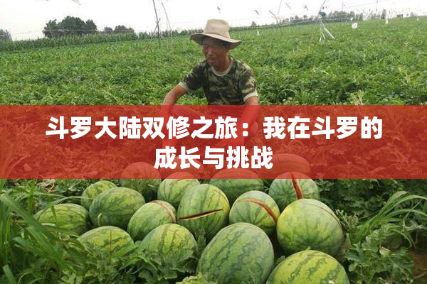 斗罗大陆双修之旅：我在斗罗的成长与挑战