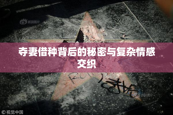 夺妻借种背后的秘密与复杂情感交织