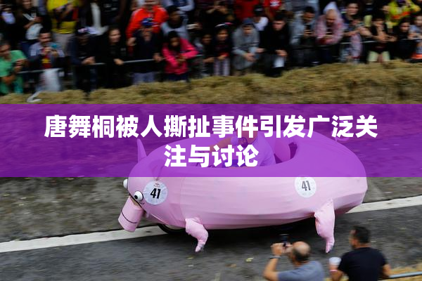 唐舞桐被人撕扯事件引发广泛关注与讨论