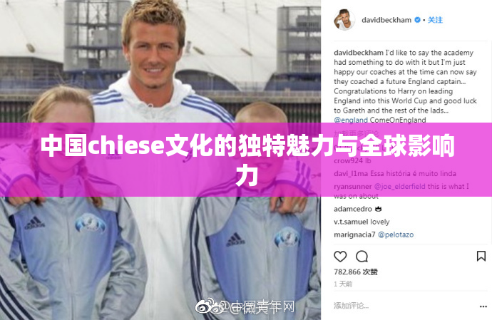 中国chiese文化的独特魅力与全球影响力