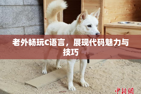 老外畅玩C语言，展现代码魅力与技巧