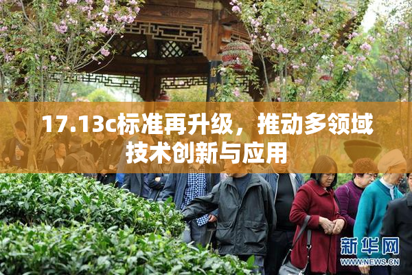17.13c标准再升级，推动多领域技术创新与应用