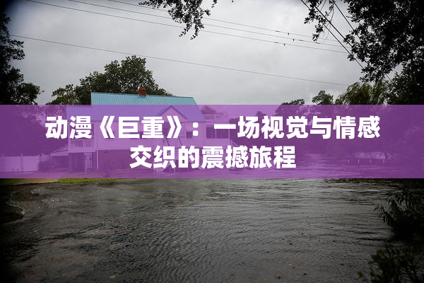 动漫《巨重》：一场视觉与情感交织的震撼旅程