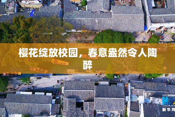 樱花绽放校园，春意盎然令人陶醉