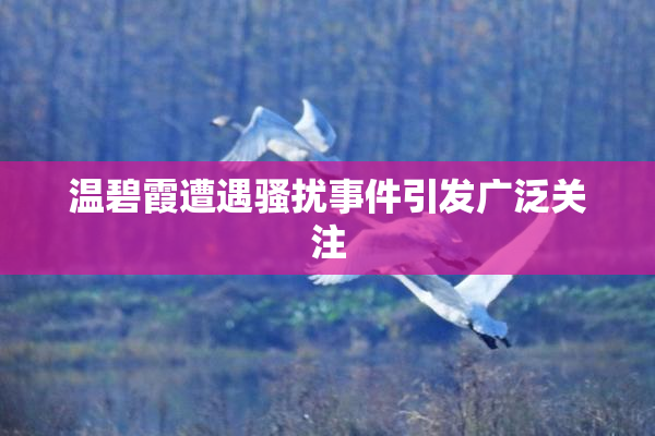 温碧霞遭遇骚扰事件引发广泛关注