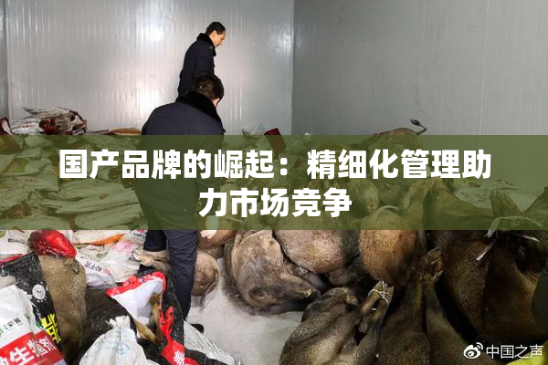 国产品牌的崛起：精细化管理助力市场竞争