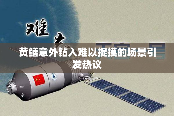 黄鳝意外钻入难以捉摸的场景引发热议