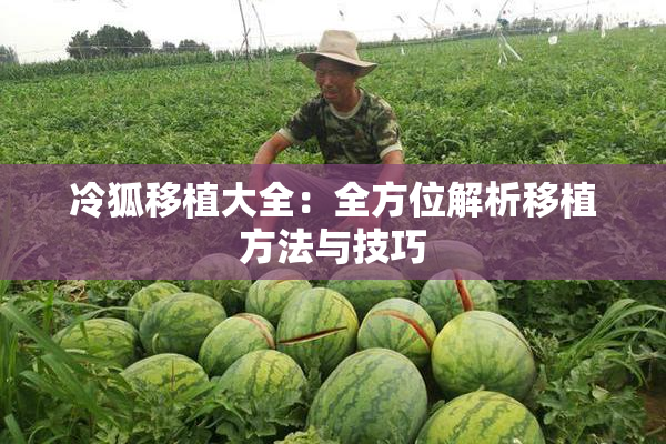 冷狐移植大全：全方位解析移植方法与技巧