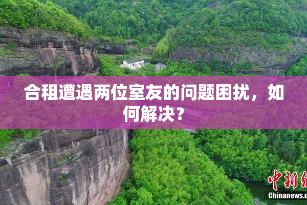 合租遭遇两位室友的问题困扰，如何解决？