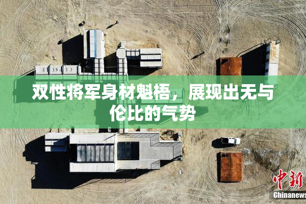 双性将军身材魁梧，展现出无与伦比的气势