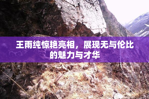 王雨纯惊艳亮相，展现无与伦比的魅力与才华