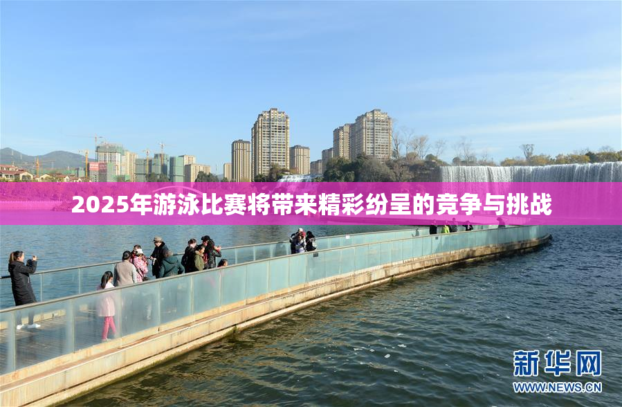 2025年游泳比赛将带来精彩纷呈的竞争与挑战
