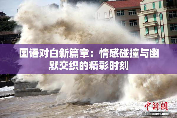 国语对白新篇章：情感碰撞与幽默交织的精彩时刻