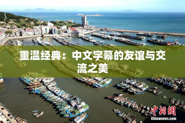 重温经典：中文字幕的友谊与交流之美