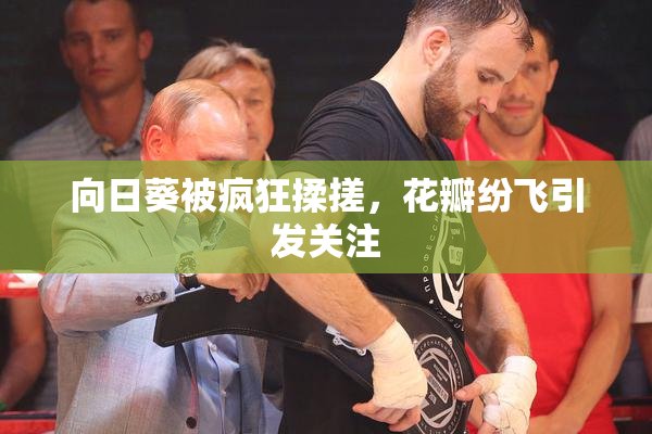 向日葵被疯狂揉搓，花瓣纷飞引发关注