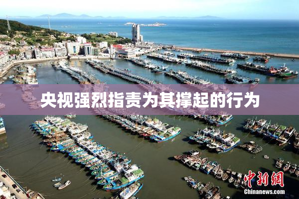 央视强烈指责为其撑起的行为