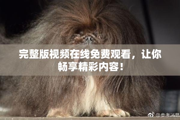 完整版视频在线免费观看，让你畅享精彩内容！