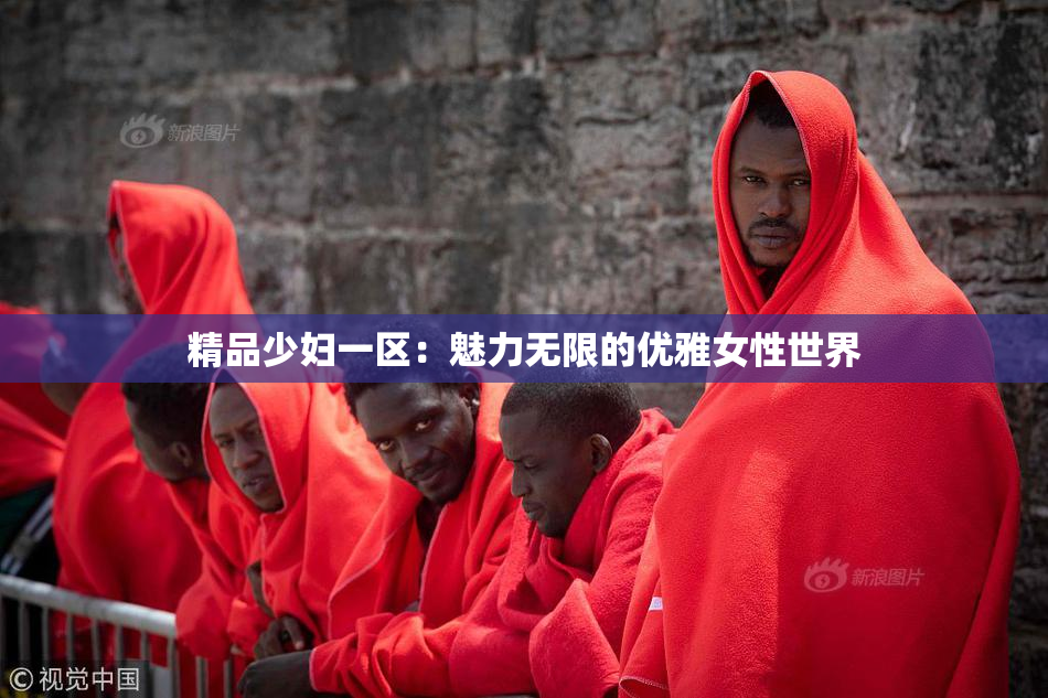 精品少妇一区：魅力无限的优雅女性世界