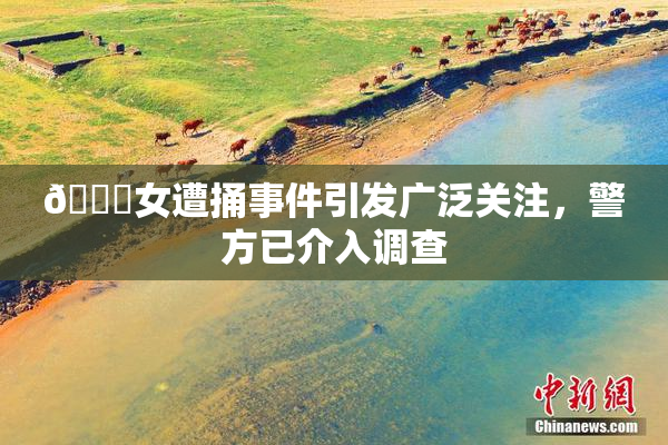 🔞女遭捅事件引发广泛关注，警方已介入调查