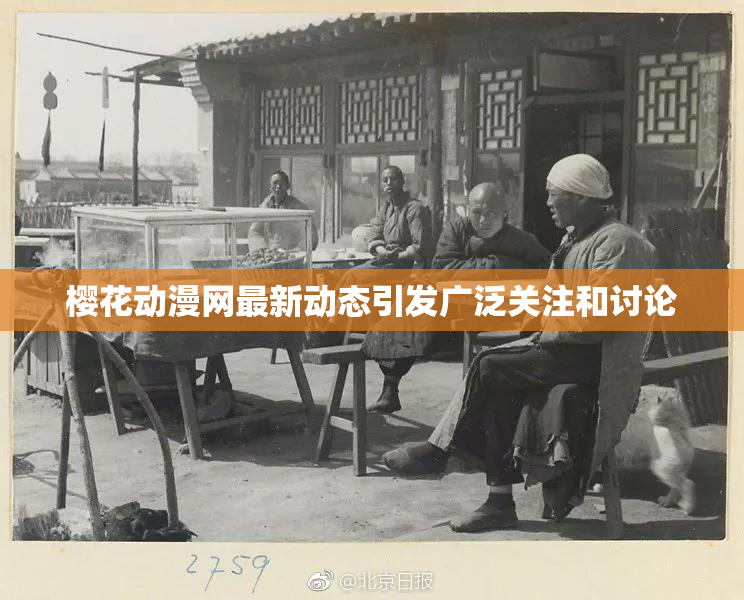 樱花动漫网最新动态引发广泛关注和讨论