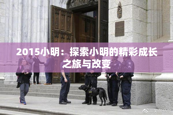 2015小明：探索小明的精彩成长之旅与改变