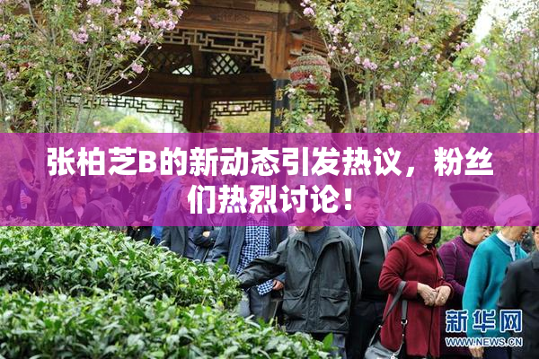 张柏芝B的新动态引发热议，粉丝们热烈讨论！
