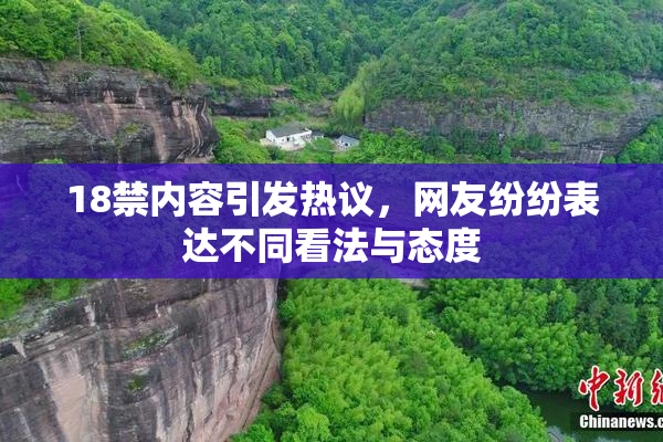 18禁内容引发热议，网友纷纷表达不同看法与态度